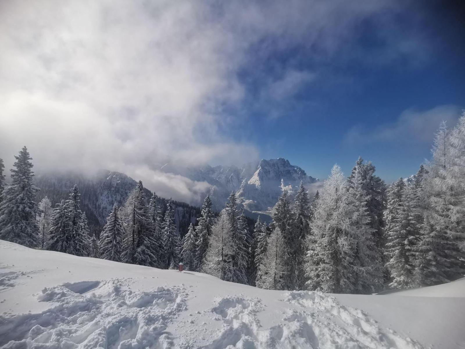Al Casello Tarvisio Exteriér fotografie